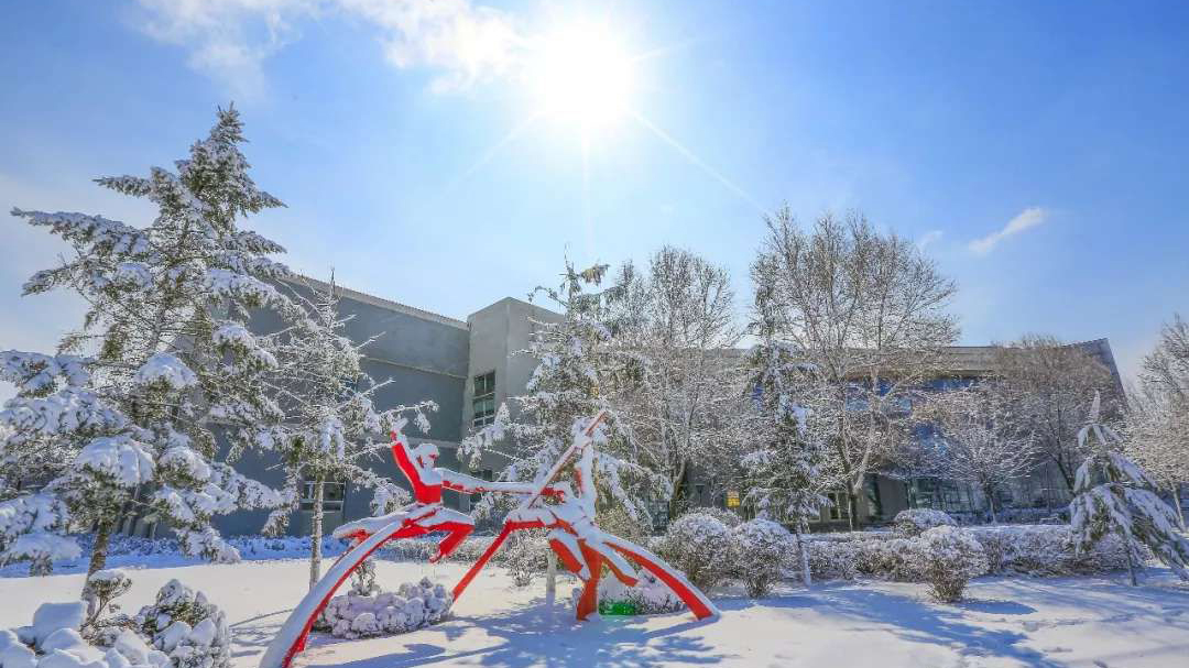 今日立冬｜ 沈体的冬天等你来