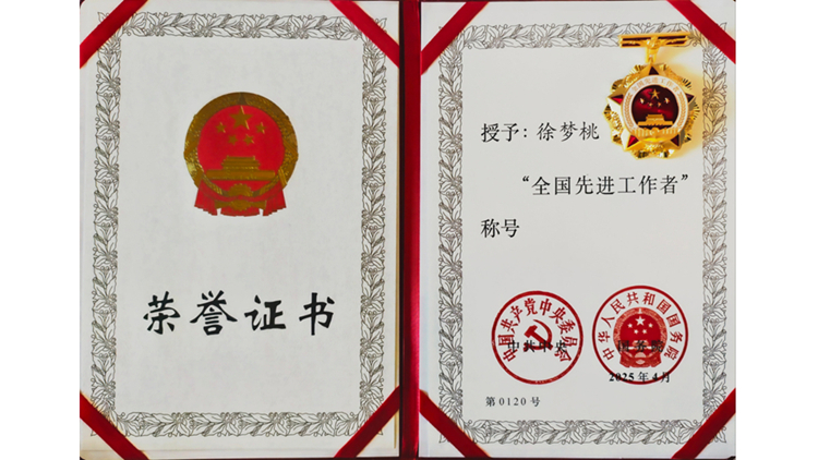 我校教师徐梦桃荣获全国先进工作者称号