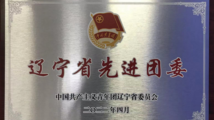 我校团委荣获2021年度“辽宁省先进团委”称号