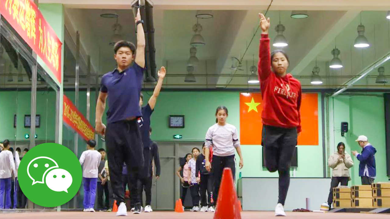 沈体人物 | 雏鹰待飞