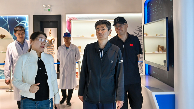 看球吧
开展校园安全专项检查工作