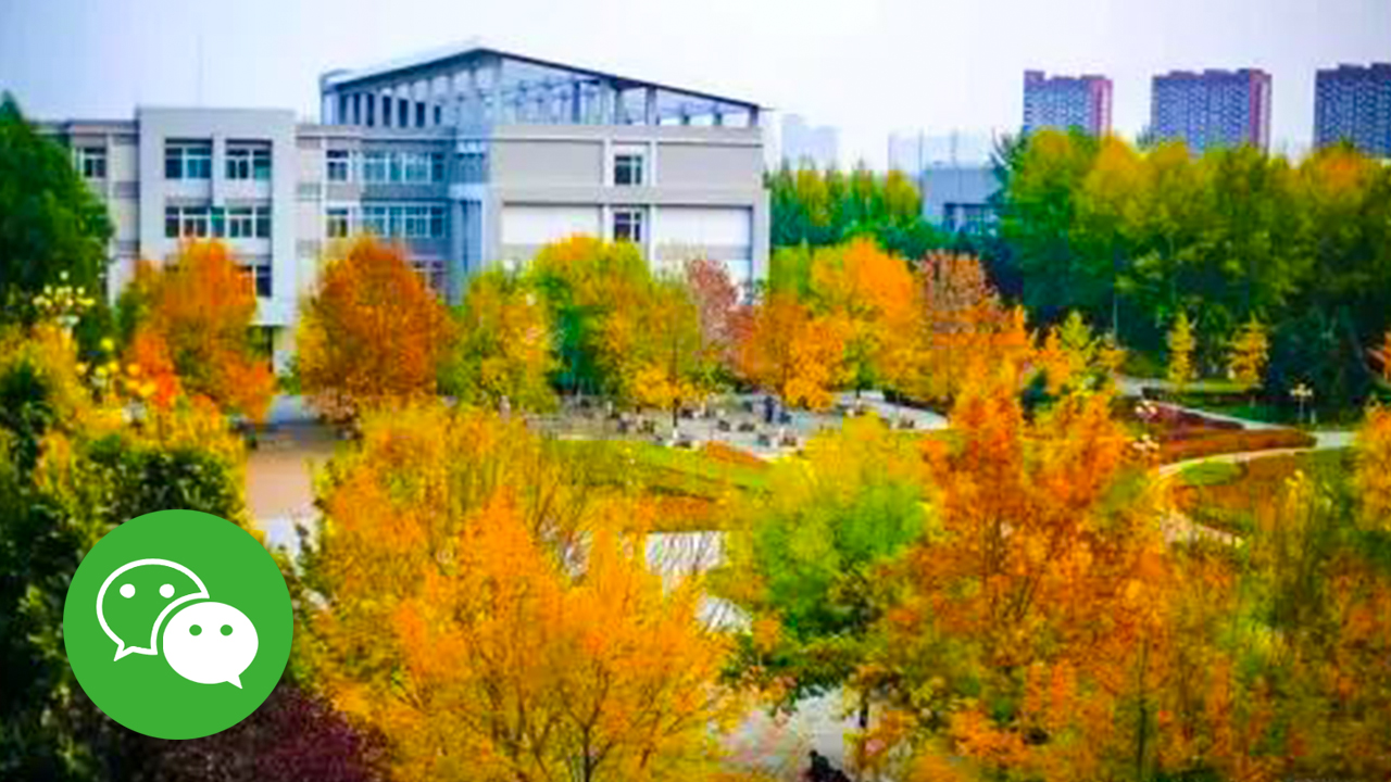 秋韵沈体 | 糟了，是心动的感觉