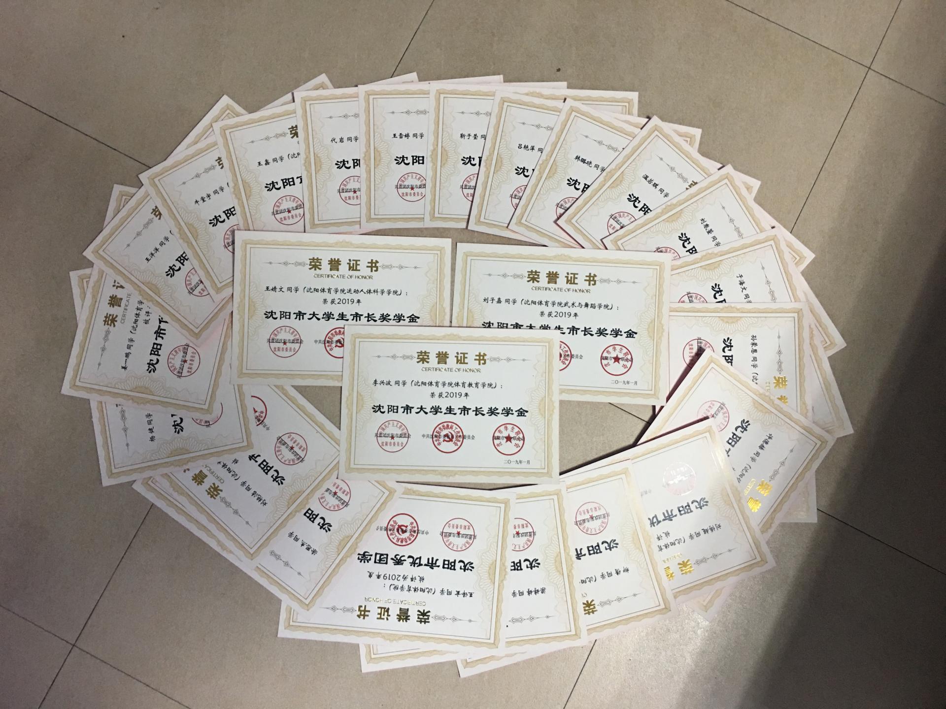 我校多个基层团组织和个人获团市委2019年度表彰